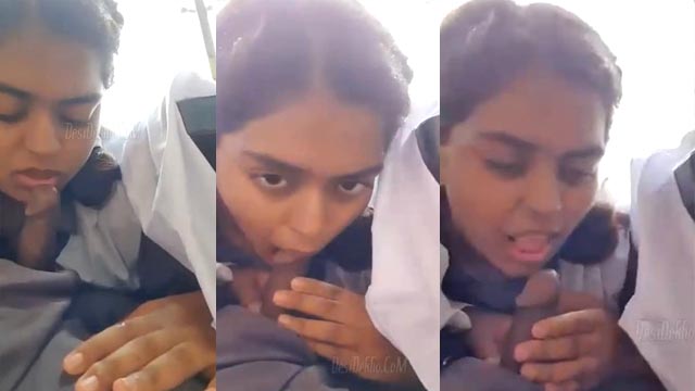 Cute School Girl Sucking dick in school bus